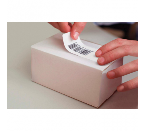 Термоэтикетка ЭКО 58x100 мм (300шт) Eco